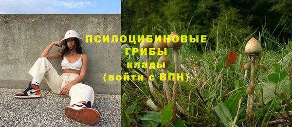 бошки Балахна