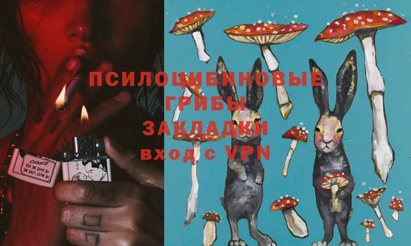 трава Новый Уренгой