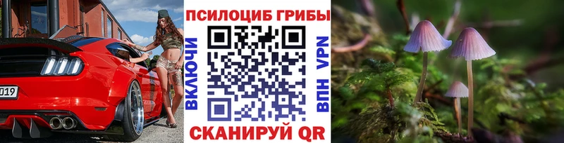 Галлюциногенные грибы Psilocybe  наркота  Бобров 